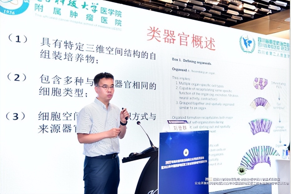 医工结合激发科技创新活力，构建放射肿瘤领域新生态
